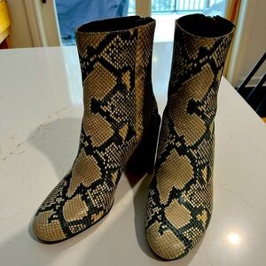 dolce Vita snakeskin ankle boots